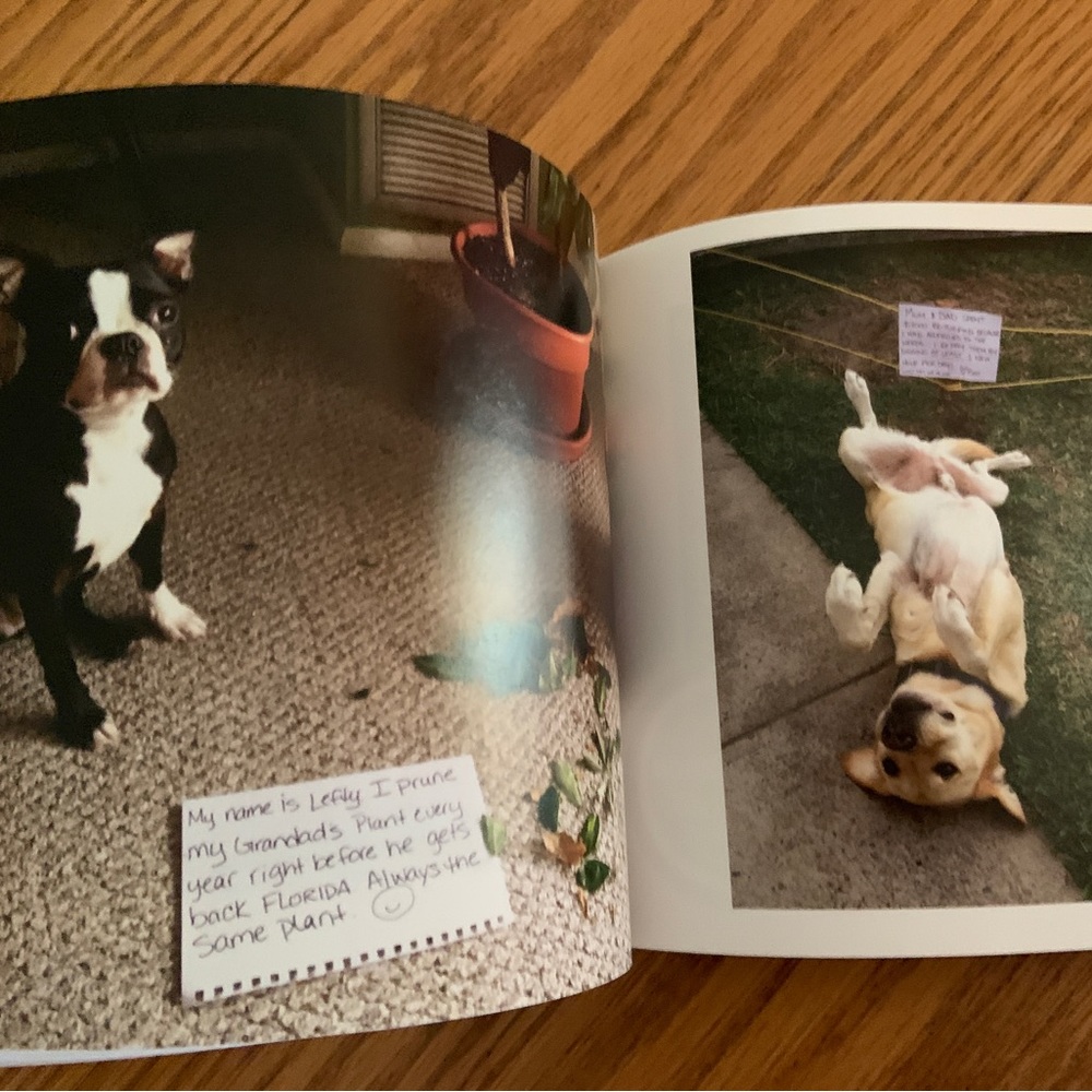 It’s a Doggone Shame - Picture 4 of 4
